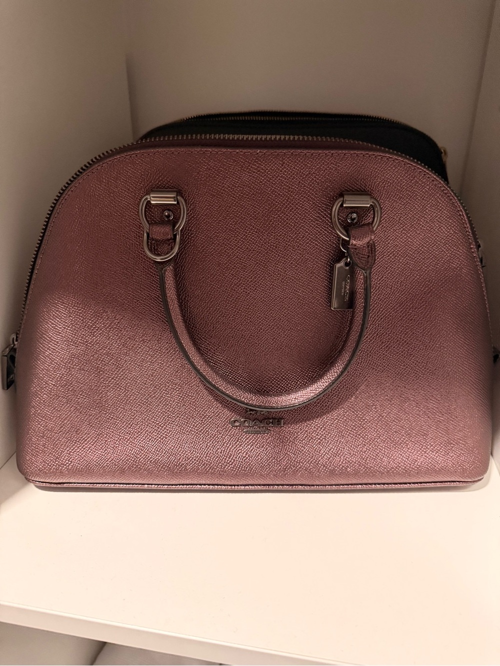 Coach Metallic Rose Dome Satchel